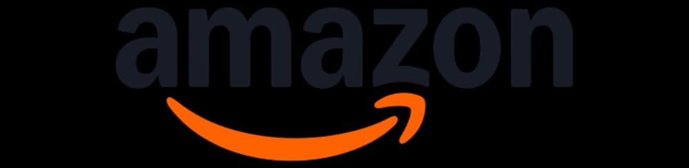 Amazon 2024 logo